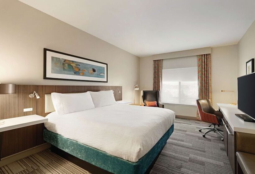 스탠다드 룸 킹사이즈 침대, Hilton Garden Inn Oxford/anniston