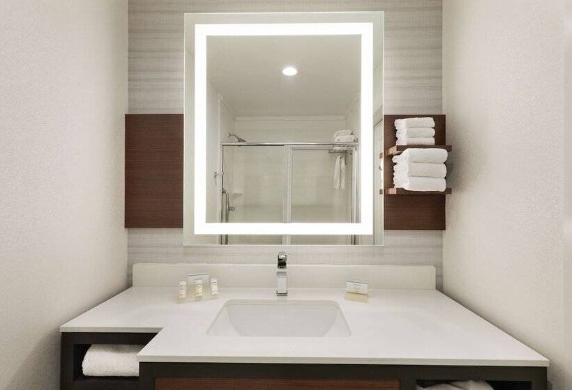 스탠다드 룸, Hilton Garden Inn Oxford/anniston
