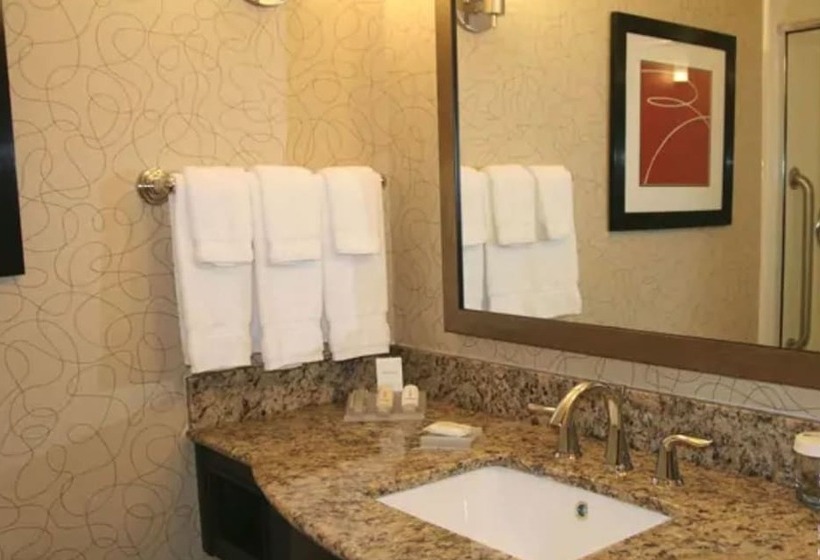 장애인을 위한 스탠다드 룸, Hilton Garden Inn Oxford/anniston