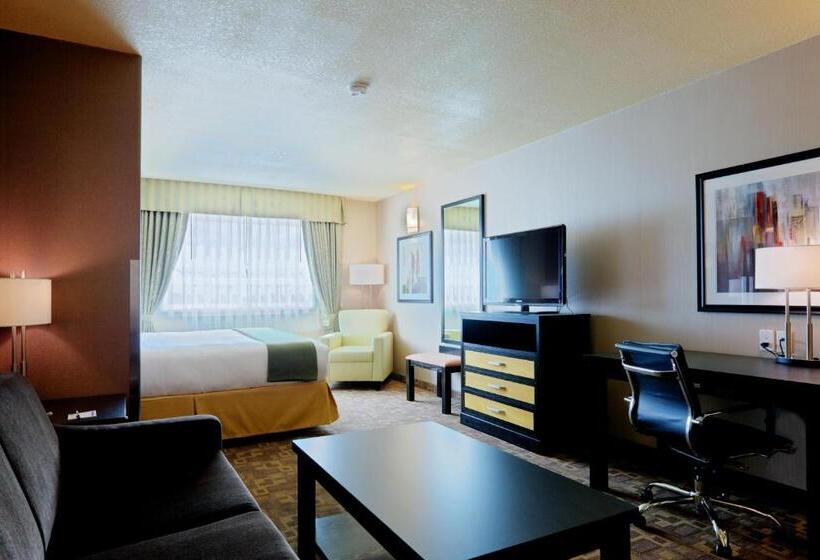 Номер Стандарт Кровать Кинг Адаптированный для Инвалидов, Holiday Inn Express And Suites Dawson Creek, An Ihg