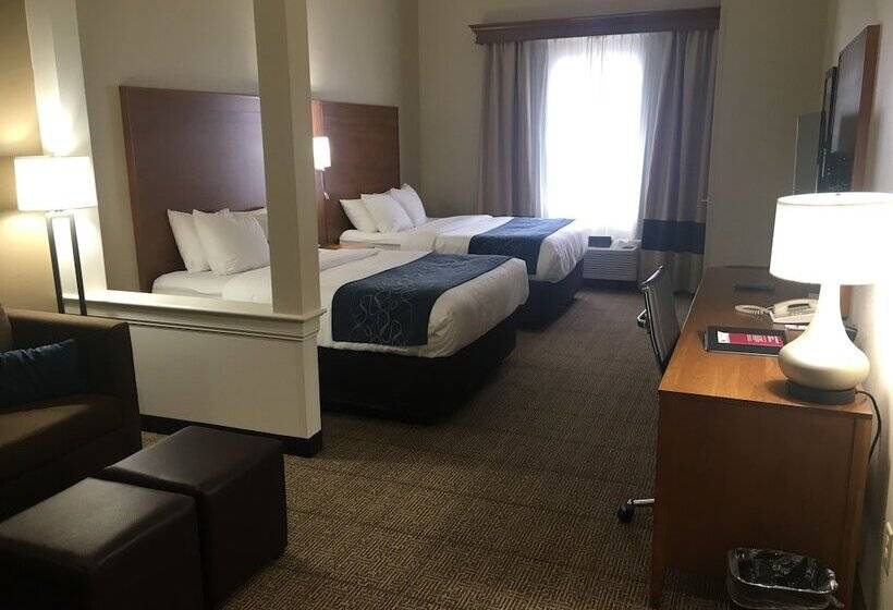 스위트, Comfort Suites Hotel And Conference Center