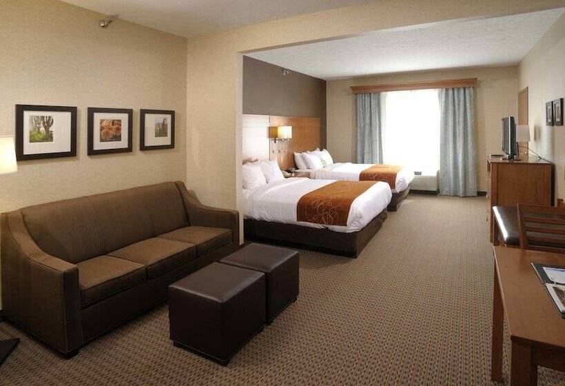 스위트, Comfort Suites Hotel And Conference Center