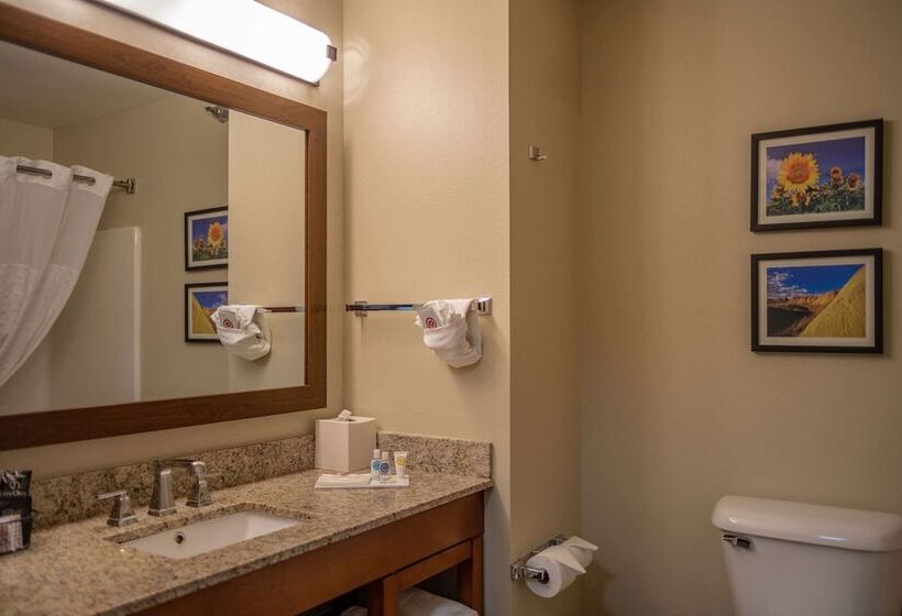 Люкс, Comfort Inn & Suites