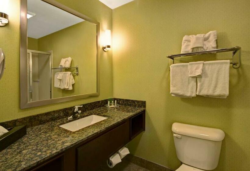 Номер Стандарт, Holiday Inn Christiansburg Blacksburg, An Ihg