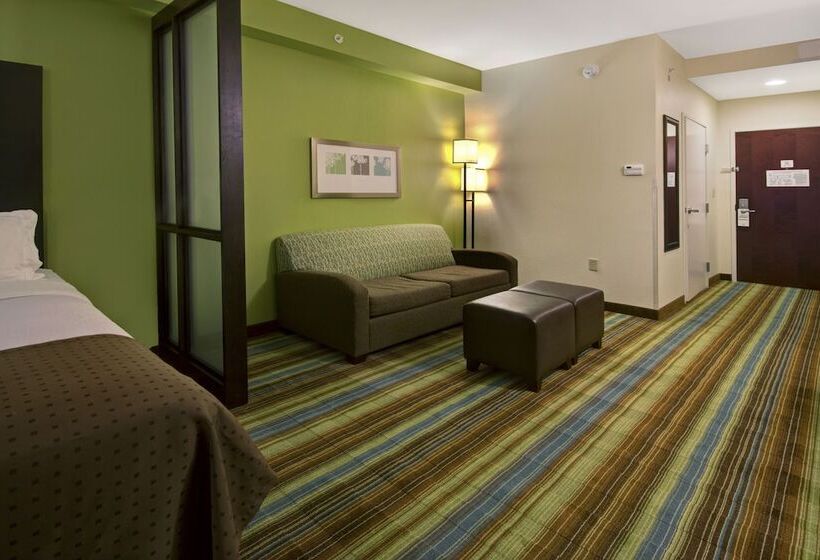Люкс, Holiday Inn Christiansburg Blacksburg, An Ihg