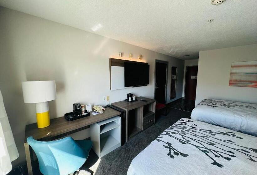 Номер Стандарт, Comfort Inn Emporia