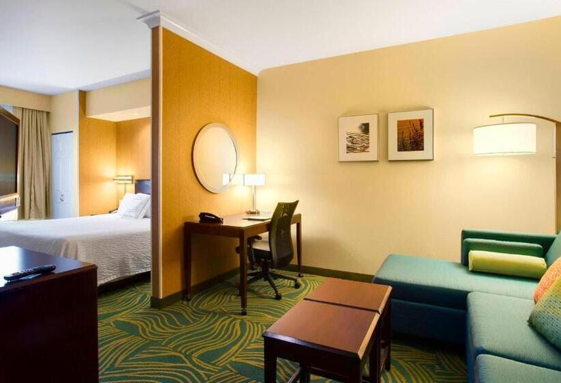 Студио Стандарт Кровать Кинг, Springhill Suites By Marriott Omaha East, Council Bluffs, Ia