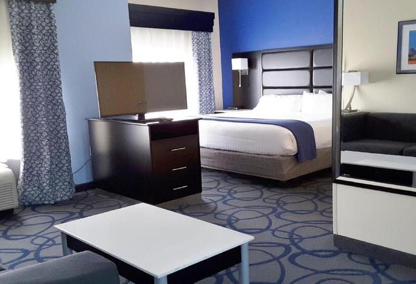 Люкс Кровать Кинг, Holiday Inn Express Hotel & Suites Lawrenceville, An Ihg