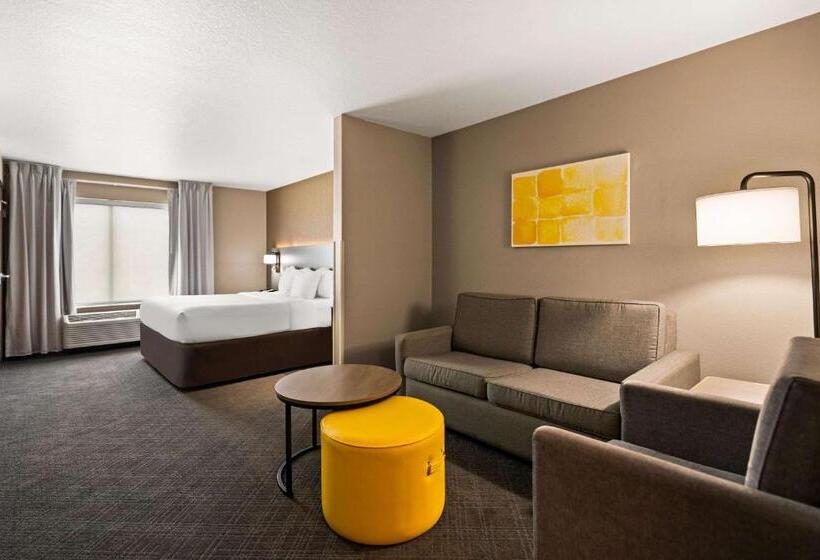 带大床的套房, Comfort Suites Hudson I94