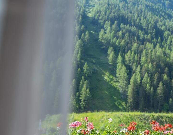 Номер Superior, Hôtel Cristal   Swiss Riders Lodge Grimentz