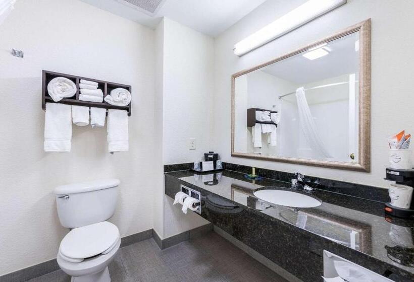 스위트 킹사이즈 침대, Clarion Pointe Madisonhuntsville