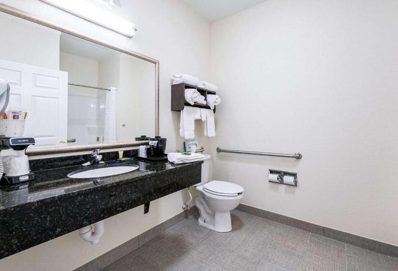장애인을 위한 킹사이즈 침대 스탠다드 룸, Clarion Pointe Madisonhuntsville