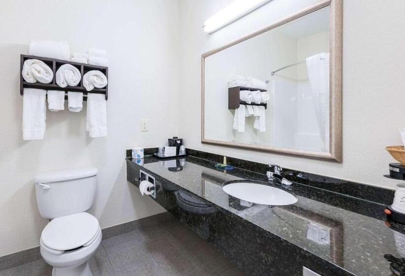 장애인을 위한 킹사이즈 침대 스탠다드 룸, Clarion Pointe Madisonhuntsville