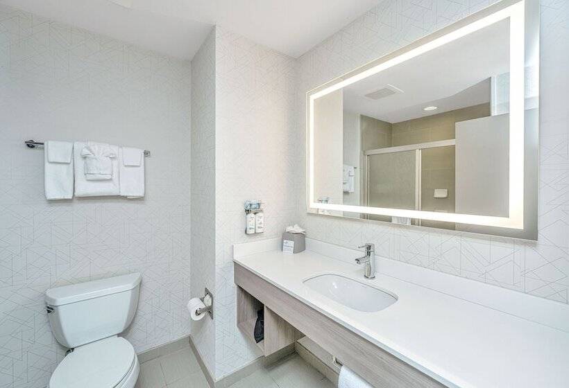 Chambre Standard, Holiday Inn Express & Suites Charleston Arpt Conv Ctr Area, An Ihg