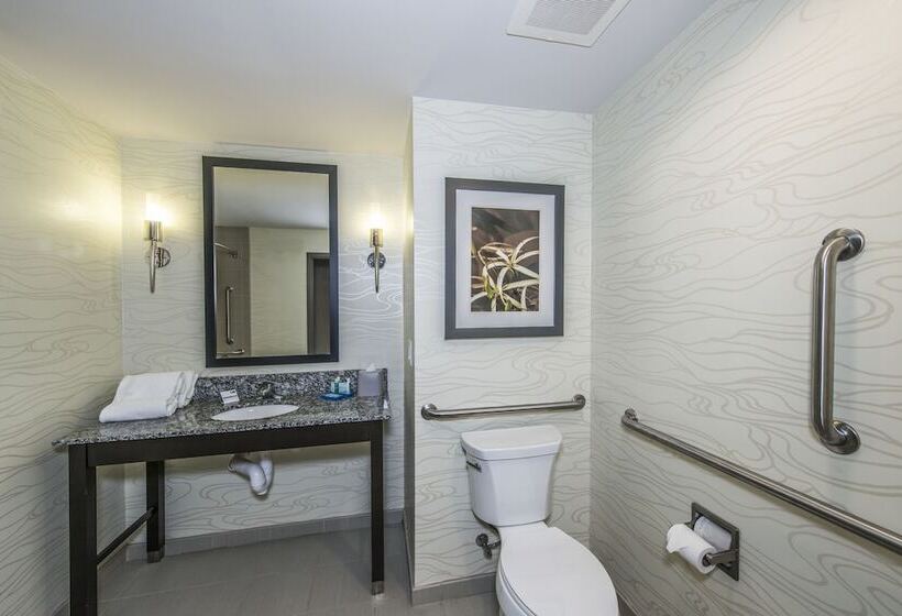 Suite Adaptée aux Personnes à Mobilité Réduite, Holiday Inn Express & Suites Charleston Arpt Conv Ctr Area, An Ihg