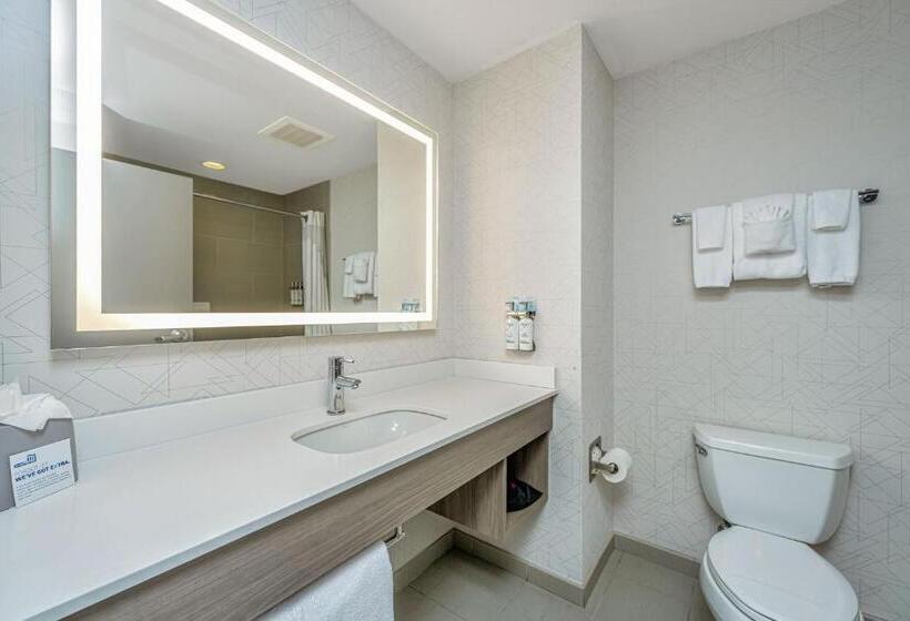 Suite Lit King, Holiday Inn Express & Suites Charleston Arpt Conv Ctr Area, An Ihg
