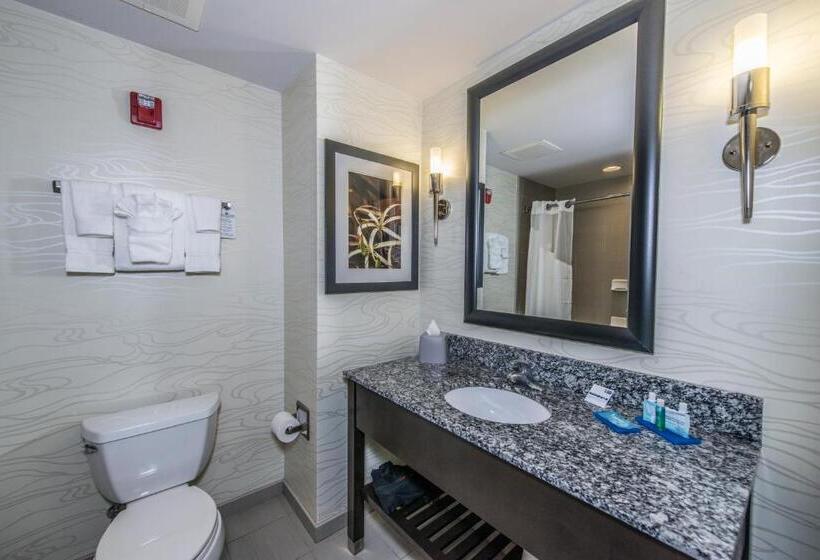 Sviitti King-vuode, Holiday Inn Express & Suites Charleston Arpt Conv Ctr Area, An Ihg