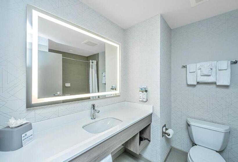 Standard-huone, Holiday Inn Express & Suites Charleston Arpt Conv Ctr Area, An Ihg
