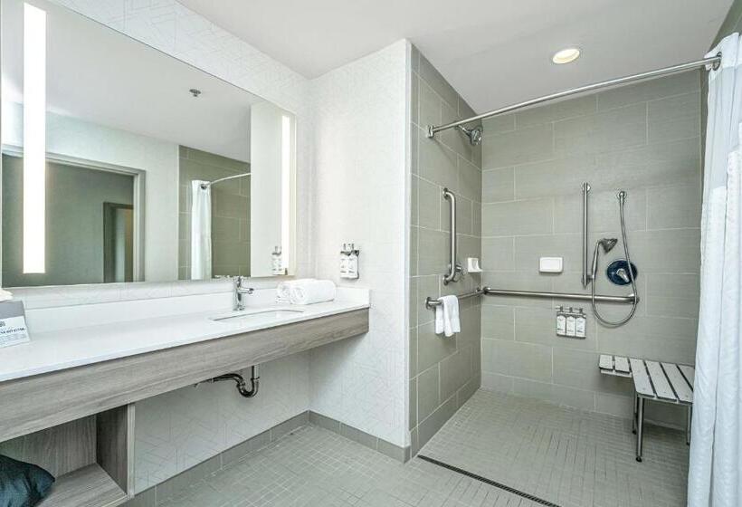 Chambre Standard Lit King Size Adaptée aux Personnes à Mobilité Réduite, Holiday Inn Express & Suites Charleston Arpt Conv Ctr Area, An Ihg