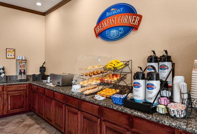 اتاق استاندارد با تخت بزرگ, Baymont By Wyndham Wichita Falls
