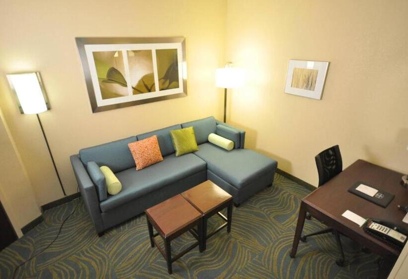 Студия Стандарт, Springhill Suites Galveston Island