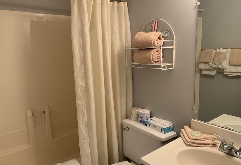 شقة غرفة واحدة, Oak Square 309