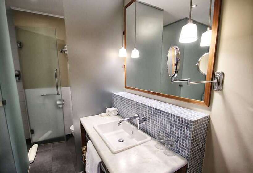 Номер Deluxe, Khortitsa Palace