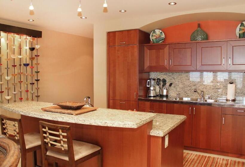 Апартаменты Пентхаус 1 Спальня, Wailea Beach Villas