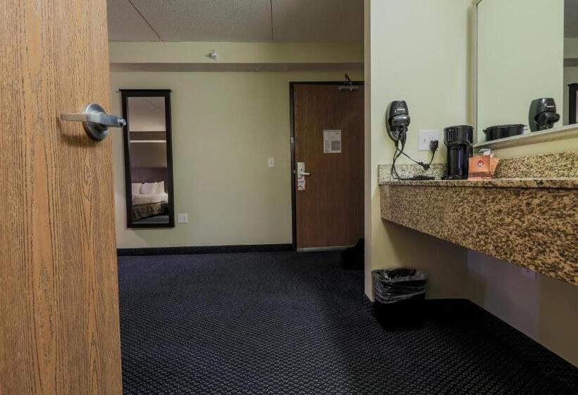 חדר דחוקס עם מיטת קינג, Americinn By Wyndham Lincoln South