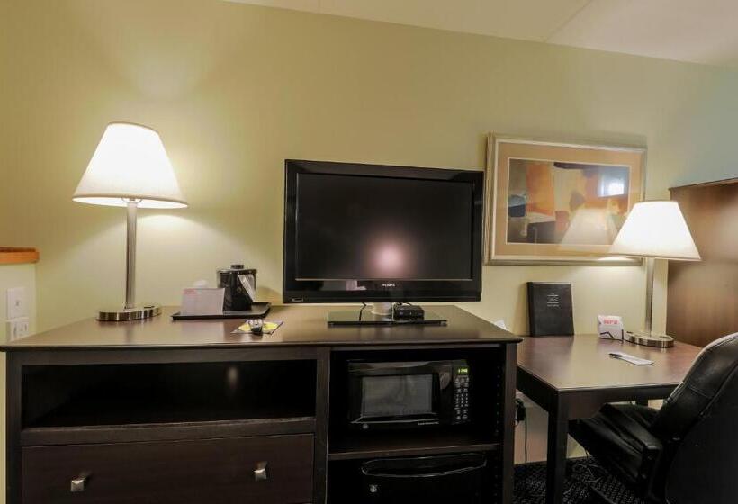 장애인을 위한 킹사이즈 침대 스탠다드 룸, Americinn By Wyndham Lincoln South