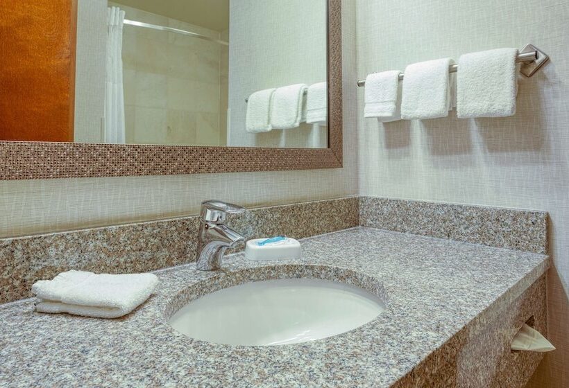 豪华房间, Drury Inn & Suites Indianapolis Northeast