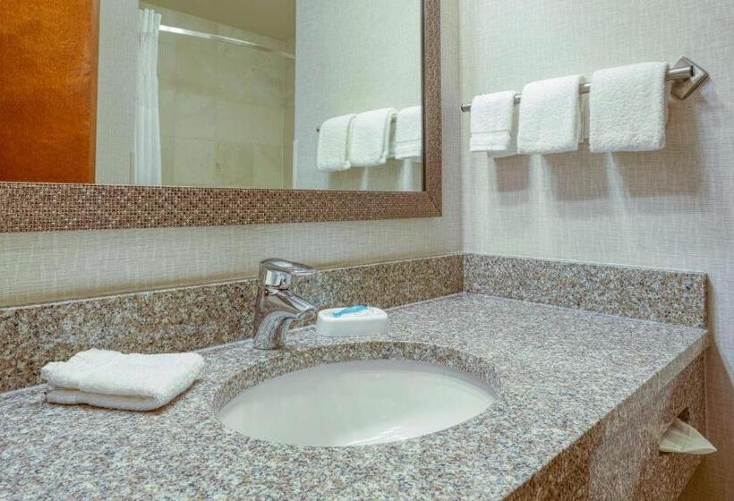 Standardzimmer (behindertengerecht), Drury Inn & Suites Indianapolis Northeast