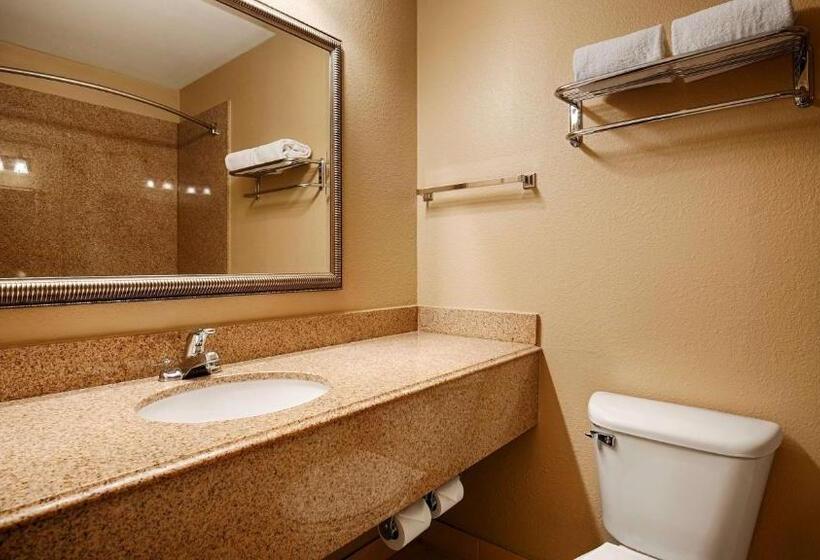스탠다드 룸 킹사이즈 침대, Best Western Plus Georgetown Inn & Suites