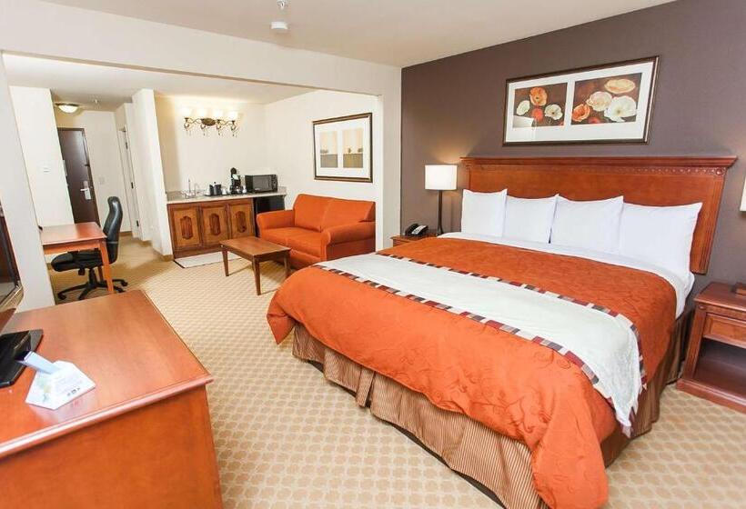 스위트 킹사이즈 침대, Best Western Plus Georgetown Inn & Suites