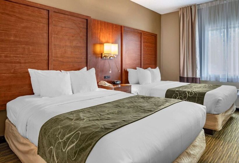 Suite, Comfort Suites North