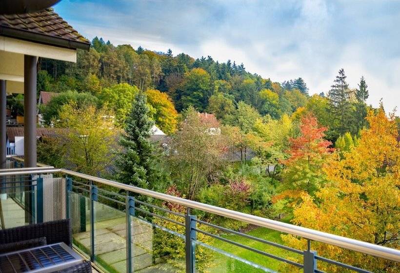 バルコニー付きスタンダードルーム, Villa Marburg Im Park