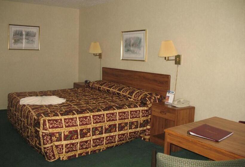 Одноместный Номер Стандарт Адаптированный для Инвалидов, Great Lakes Inn