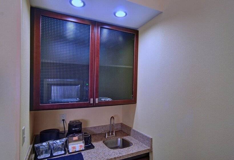 Люкс, Springhill Suites By Marriott Dallas Dfw Airport East Las Colinas Irving