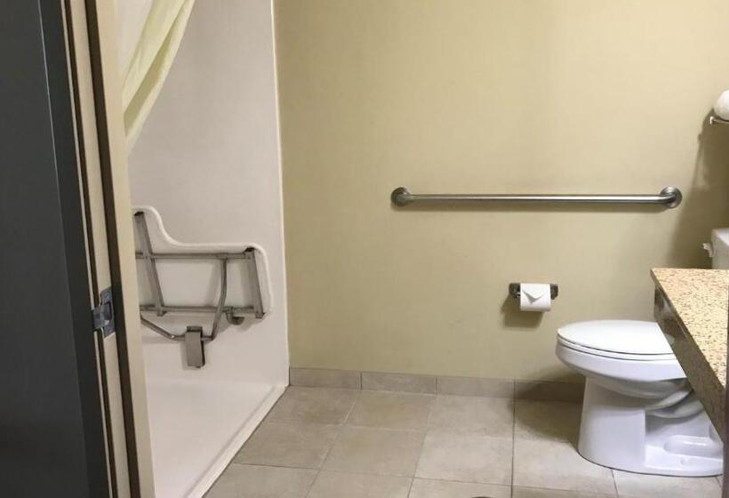 Номер Стандарт Адаптированный для Инвалидов, Cobblestone Inn & Suites   Vinton, Ia