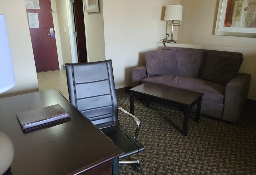 스위트, Comfort Suites Forsyth Near I75