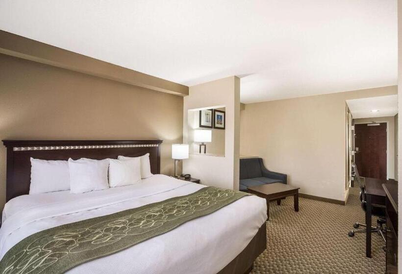 스위트 킹사이즈 침대, Comfort Suites Forsyth Near I75