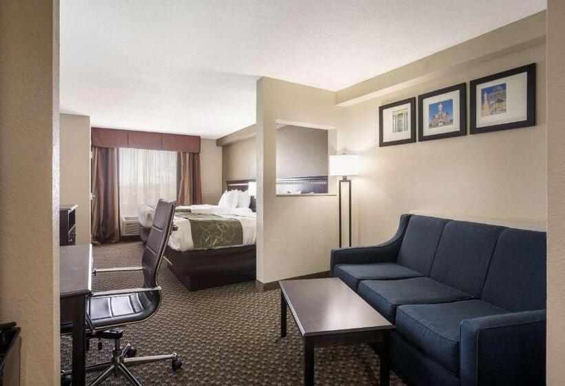 스위트, Comfort Suites Forsyth Near I75