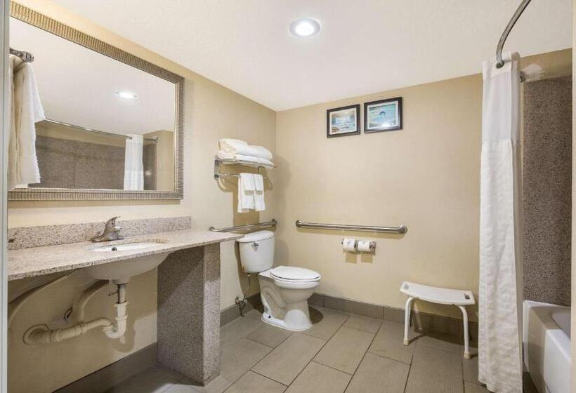 장애인을 위한 스위트, Comfort Suites Forsyth Near I75