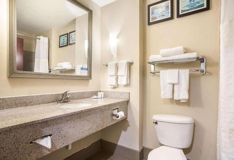 장애인을 위한 스위트, Comfort Suites Forsyth Near I75