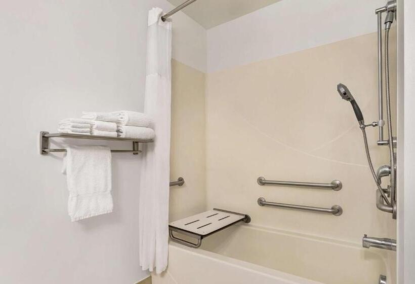 장애인을 위한 킹사이즈 침대 스탠다드 룸, Country Inn & Suites By Radisson, Boise West   Meridian