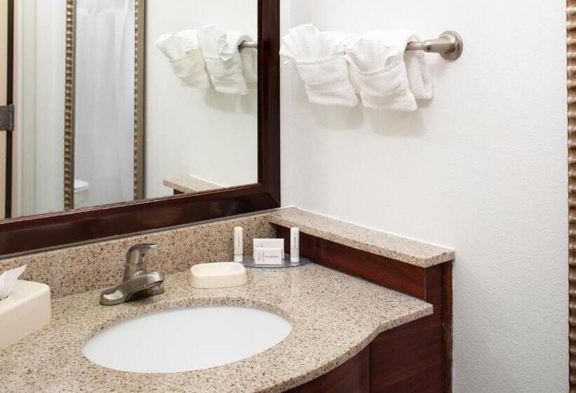 스위트 킹사이즈 침대, Springhill Suites By Marriott Ardmore
