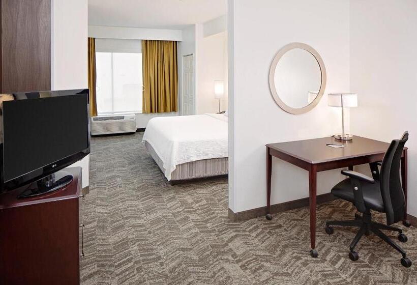스위트 킹사이즈 침대, Springhill Suites By Marriott Ardmore