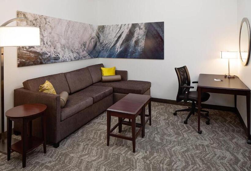 스위트, Springhill Suites By Marriott Ardmore