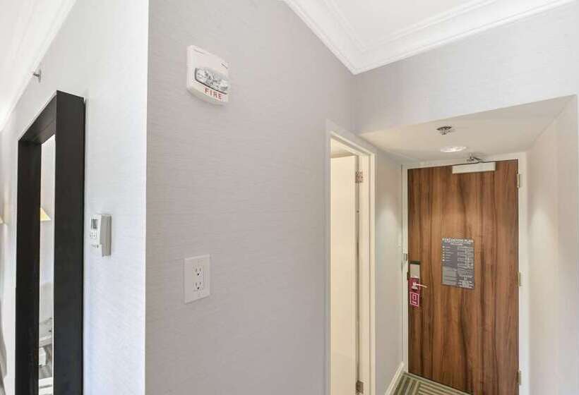스탠다드 룸, Nylo Dallas Plano Hotel, Tapestry Collection By Hilton