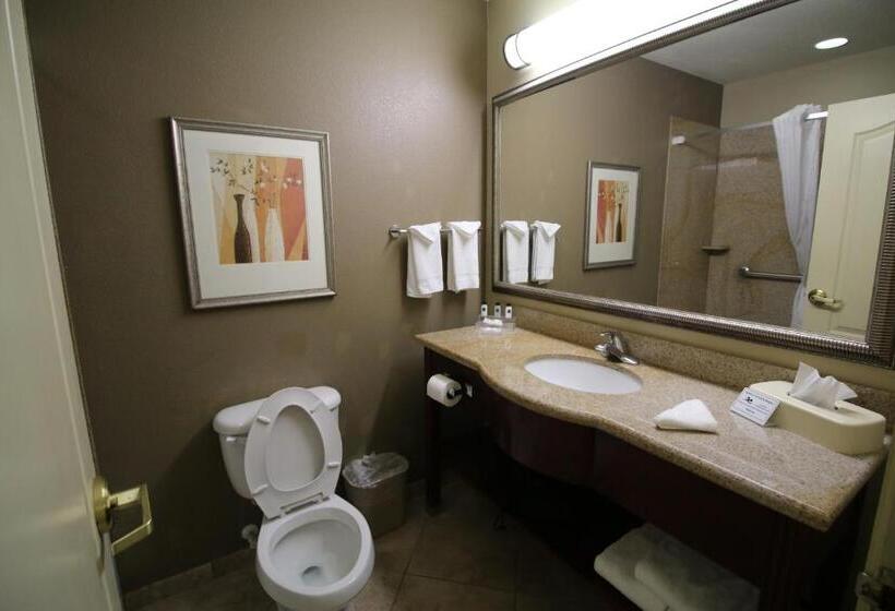 Номер Стандарт Адаптированный для Инвалидов, Seffner Inn And Suites